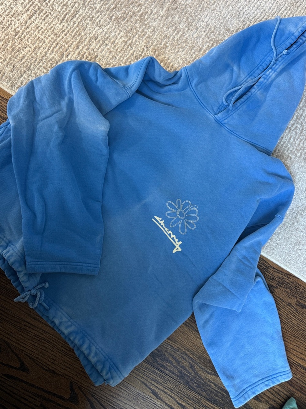 Cherry Blue Hoodie with Daisy Graphic